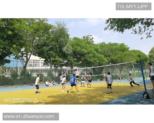 成都排球队逆袭之旅：从低谷到巅峰的奋斗与荣耀